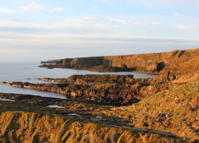 The Old Red Sandstone at Crawton, Aberdeenshire